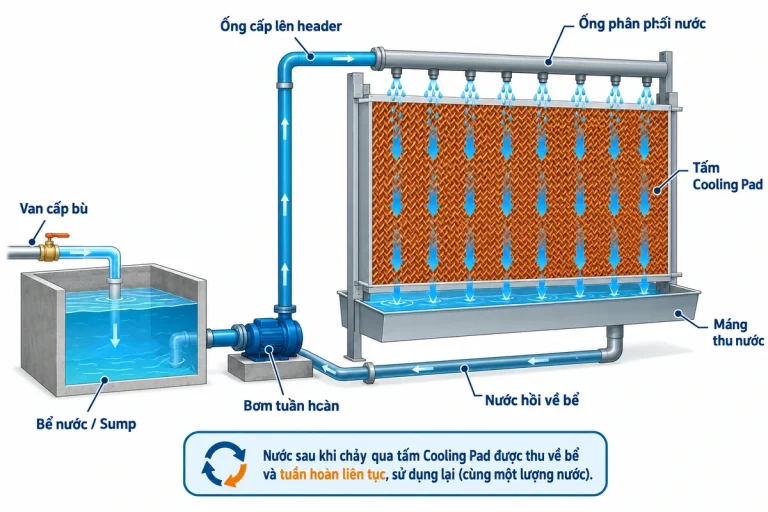 Sơ đồ hệ thống nước Cooling Pad gồm bể, bơm, ống phân phối và nước hồi